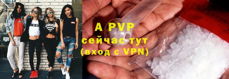 Alfa_PVP СК КРИС  Благодарный 